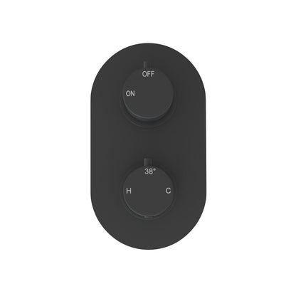 Matt Black Twin Shower Valve - Single Outlet