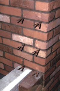 Bluebird Stainless Steel Screwtie with Nylon Plug