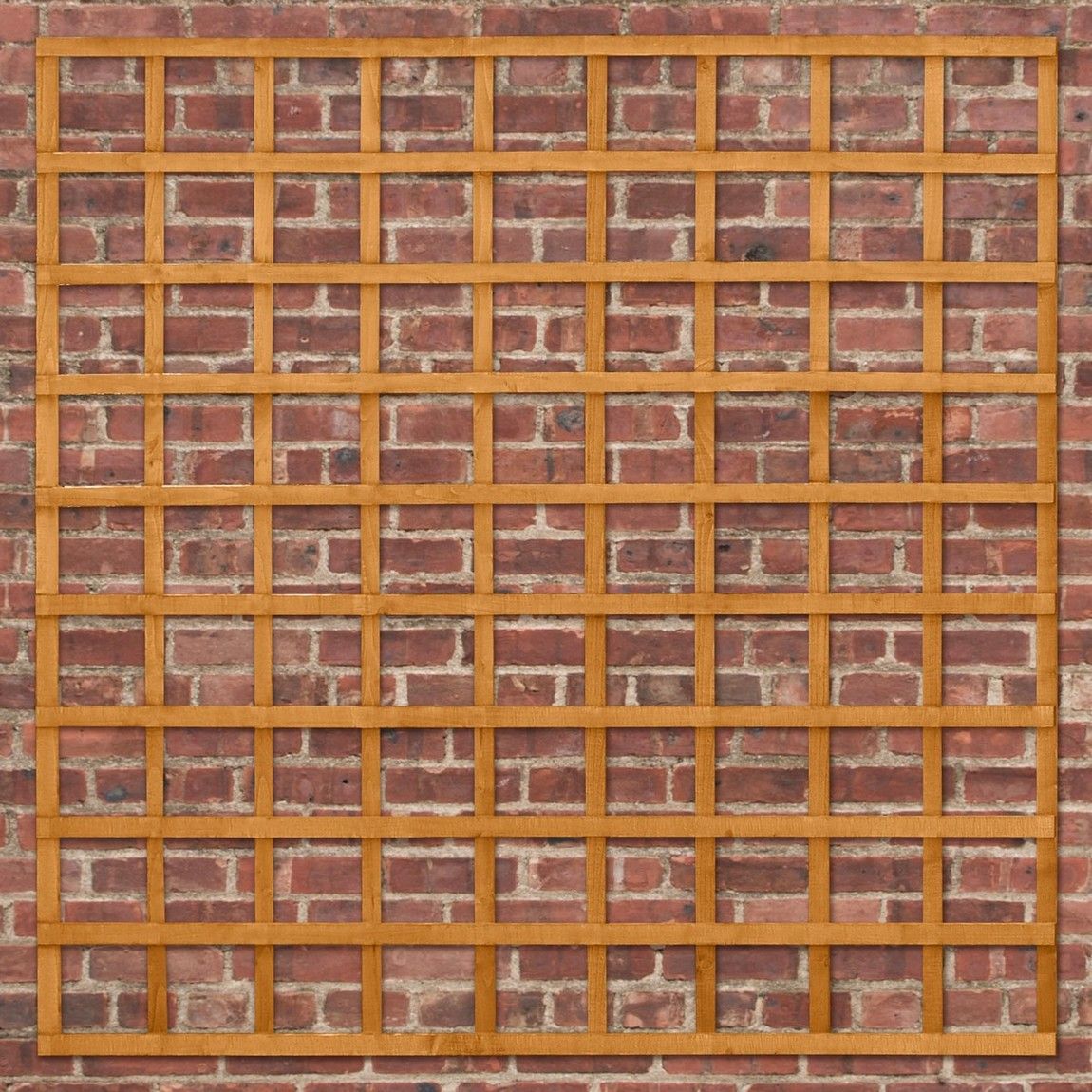 Forest Heavy Duty Trellis 1.83mtr x 1.83mtr - Treated Golden Brown (Pack of 10)