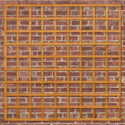 Forest Heavy Duty Trellis 1.83mtr x 1.83mtr - Treated Golden Brown (Pack of 10)