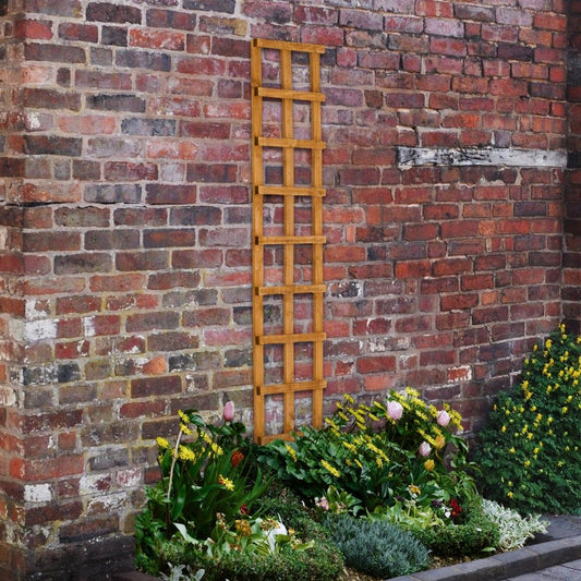 Forest Heavy Duty Trellis 1.83mtr x 300mm - Treated Golden Brown (Pack of 10)