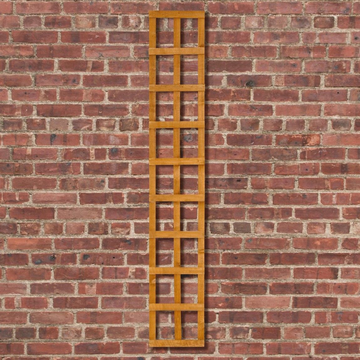 Forest Heavy Duty Trellis 1.83mtr x 300mm - Treated Golden Brown (Pack of 10)