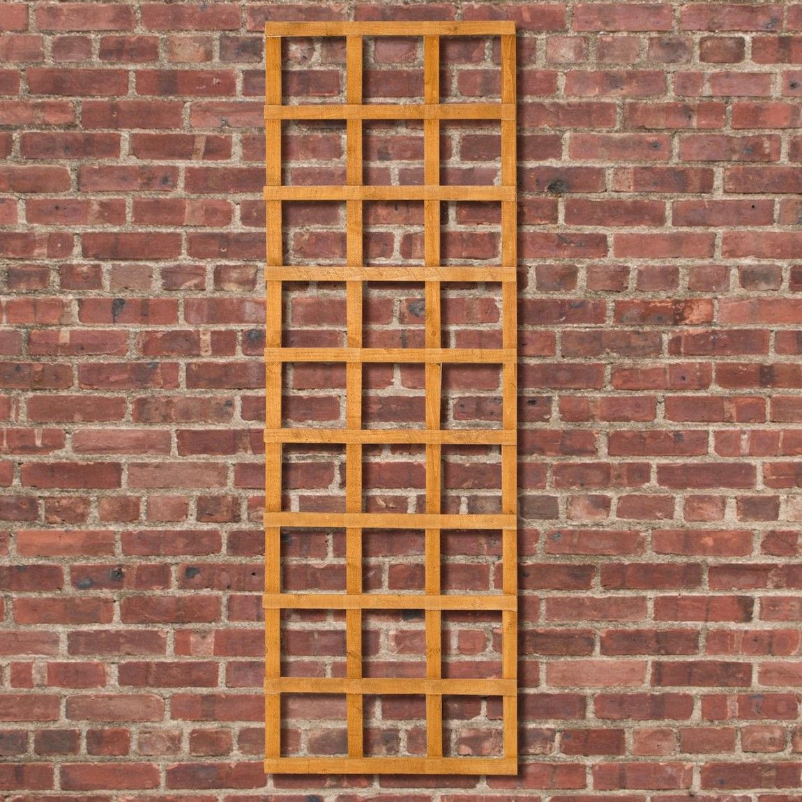 Forest Heavy Duty Trellis 1.83mtr x 610mm - Treated Golden Brown (Pack of 6)
