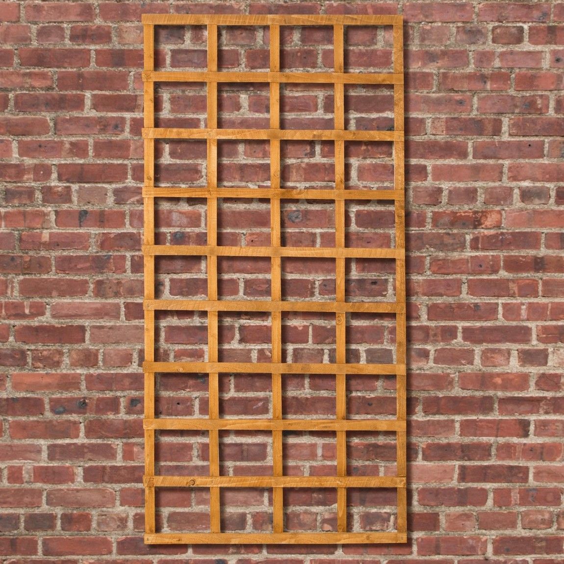 Forest Heavy Duty Trellis 1.83mtr x 910mm - Treated Golden Brown (Pack of 10)