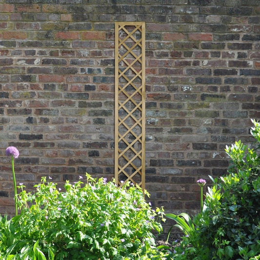 Forest Hidcote Lattice 1.8mtr x 300mm - Treated Timber (Pack of 6)