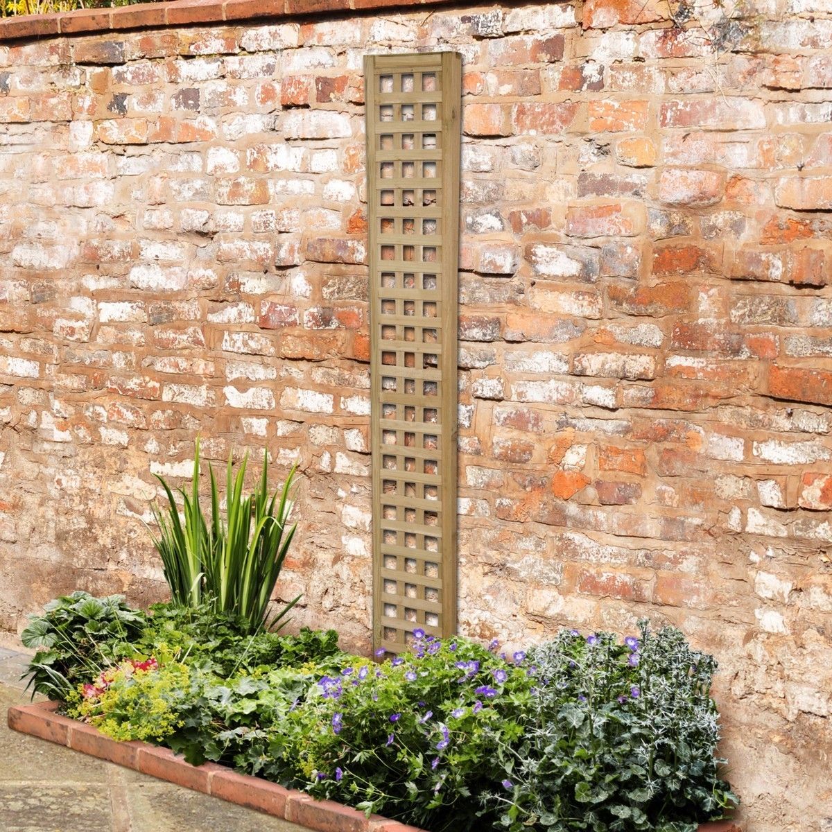 Forest Premium Framed Trellis 1.8m x 0.3m Treated Timber (Pack of 4)