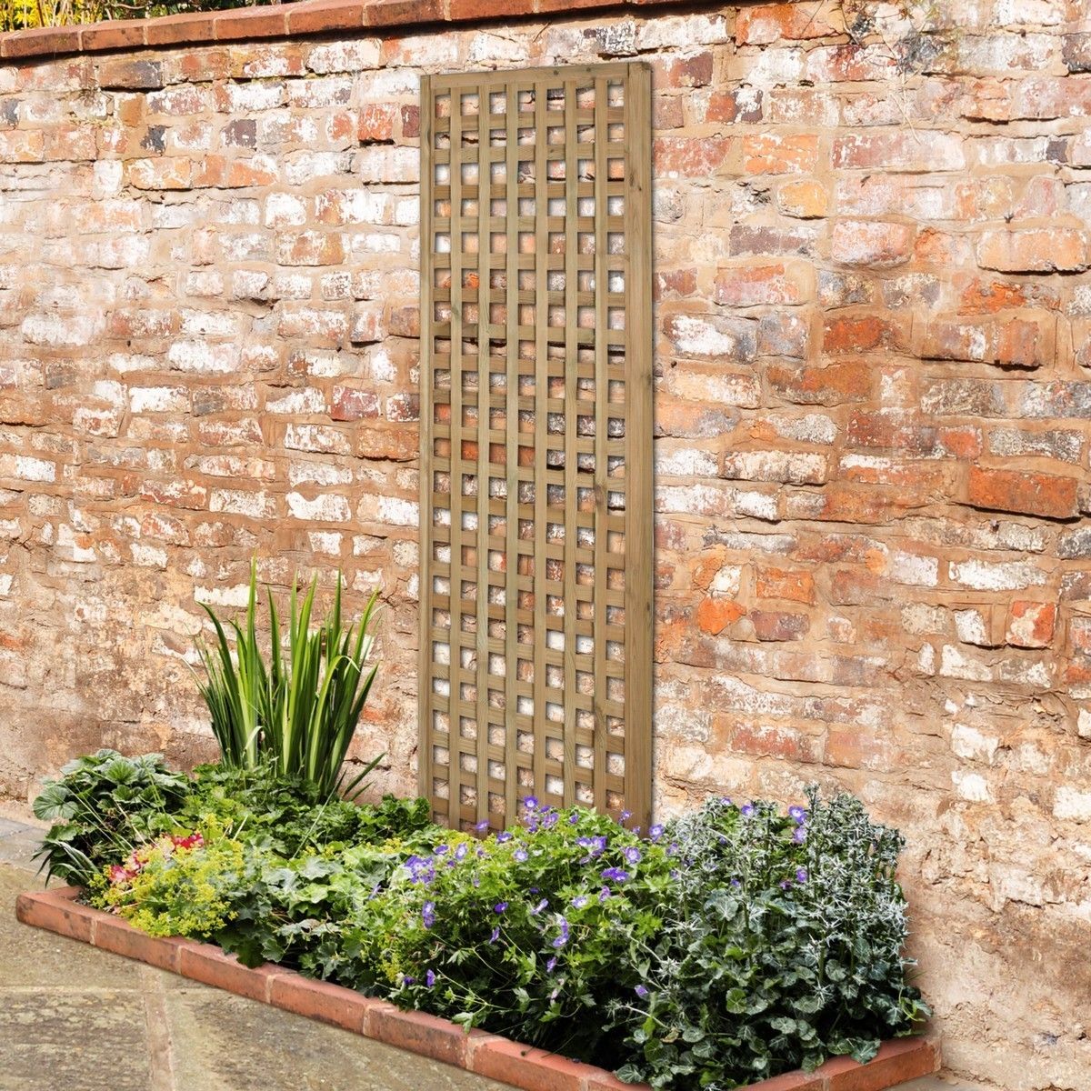 Forest Premium Framed Trellis 1.8m x 0.6m Treated Timber (Pack of 10)
