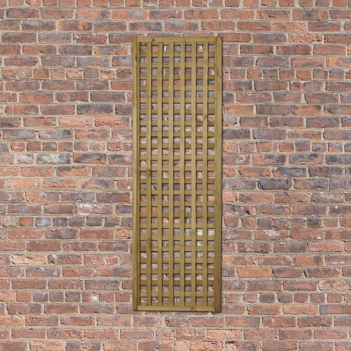 Forest Premium Framed Trellis 1.8m x 0.6m Treated Timber (Pack of 10)