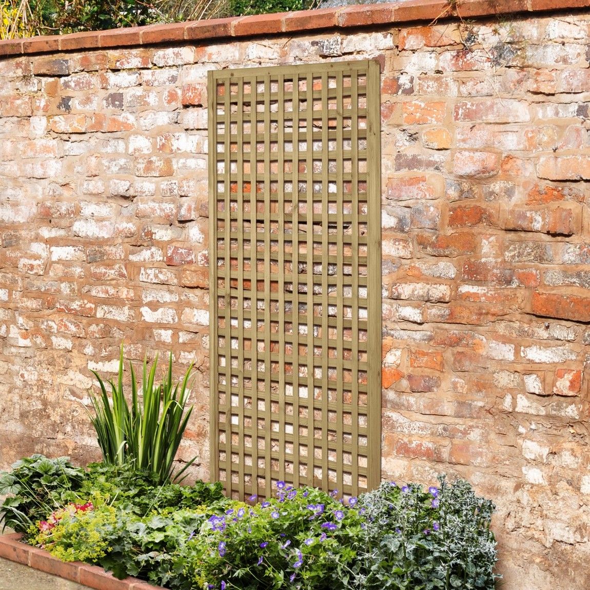 Forest Premium Framed Trellis 1.8m x 0.9m Treated Timber (Pack of 6)