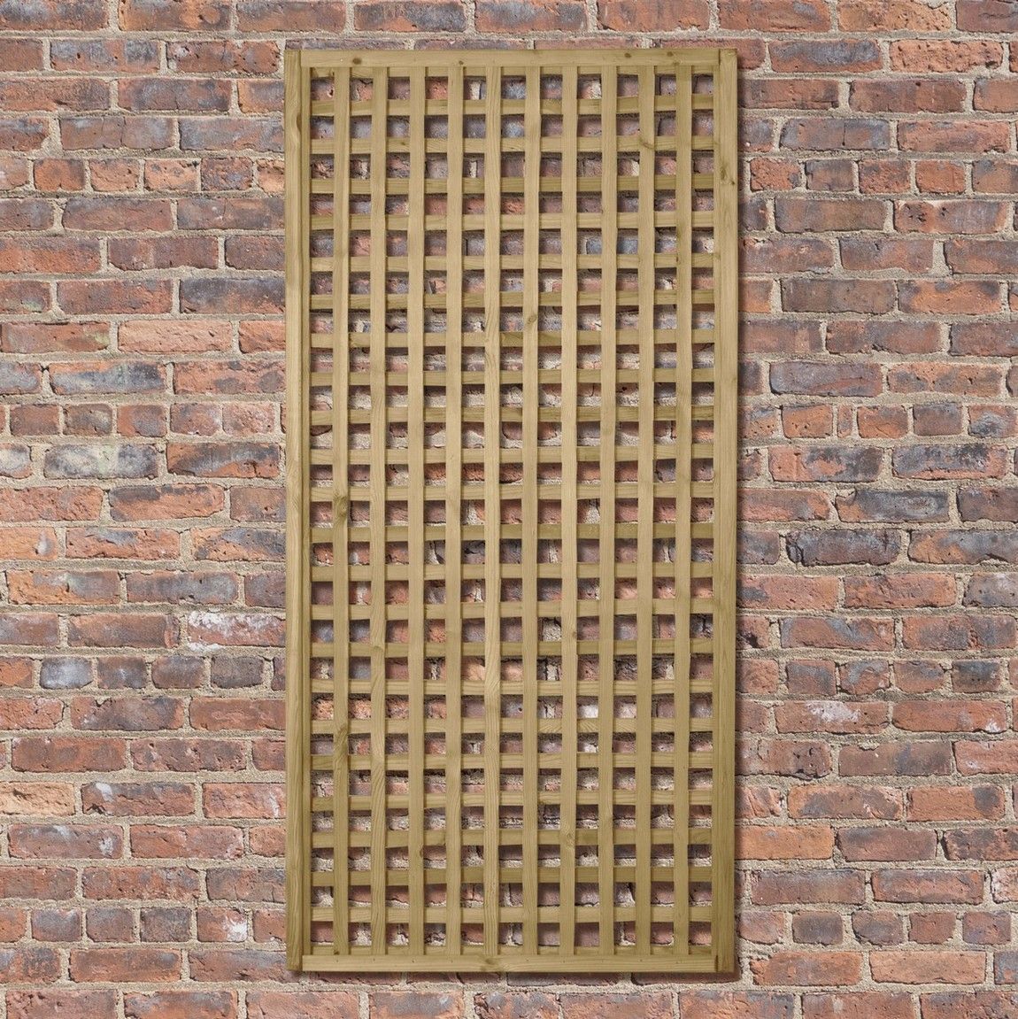 Forest Premium Framed Trellis 1.8m x 0.9m Treated Timber (Pack of 6)