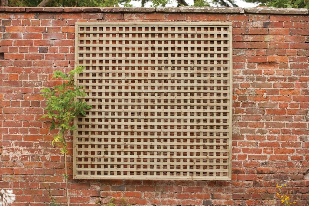 Forest Premium Framed Trellis 1.8m x 1.8m Treated Timber (Pack of 5)
