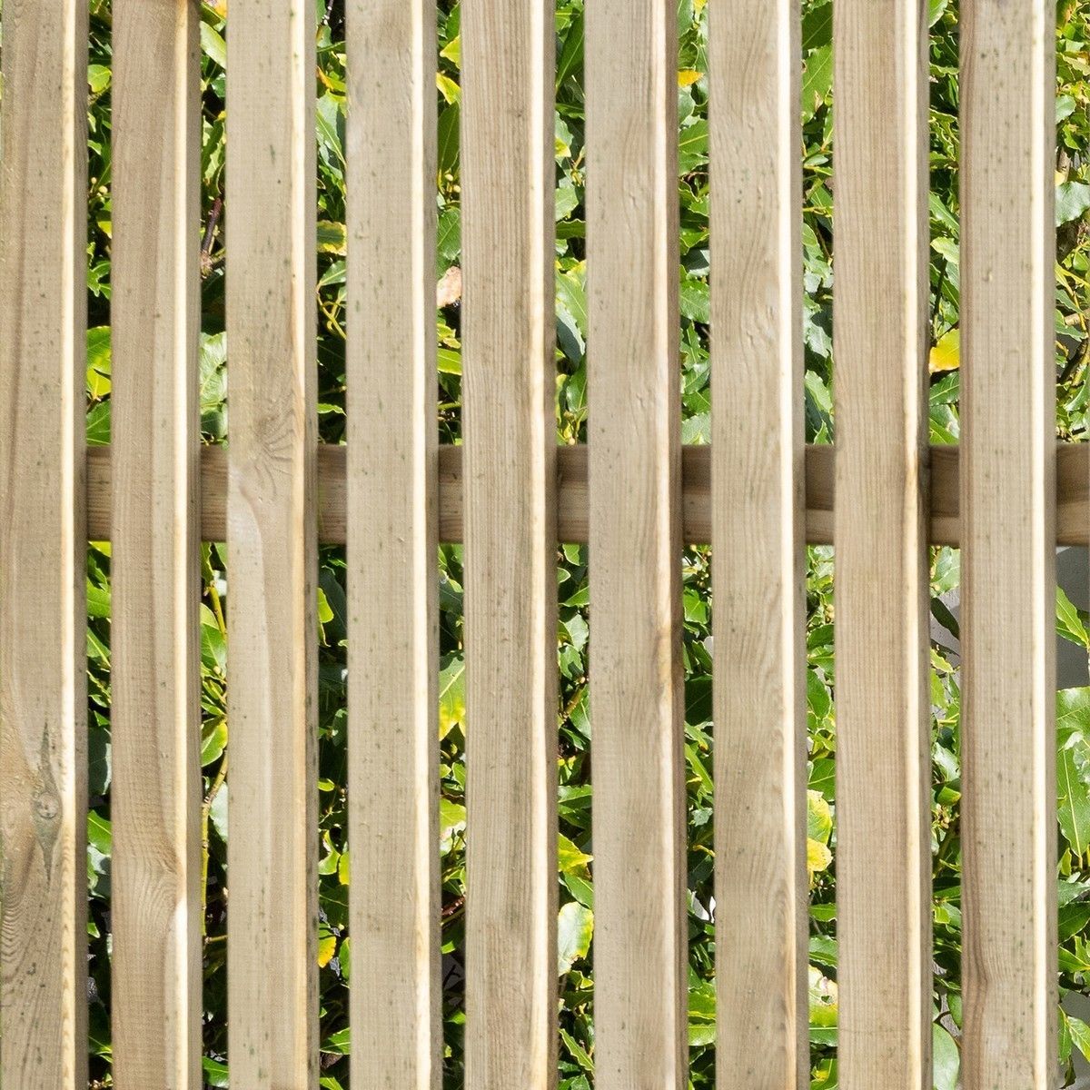 Forest Pressure Treated Vertical Slatted Screen 1.8mtr x 1.8mtr (Pack of 4)