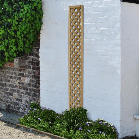 Forest Rosemore Lattice 1.8mtr x 0.3mtr Treated Timber (Pack of 10)