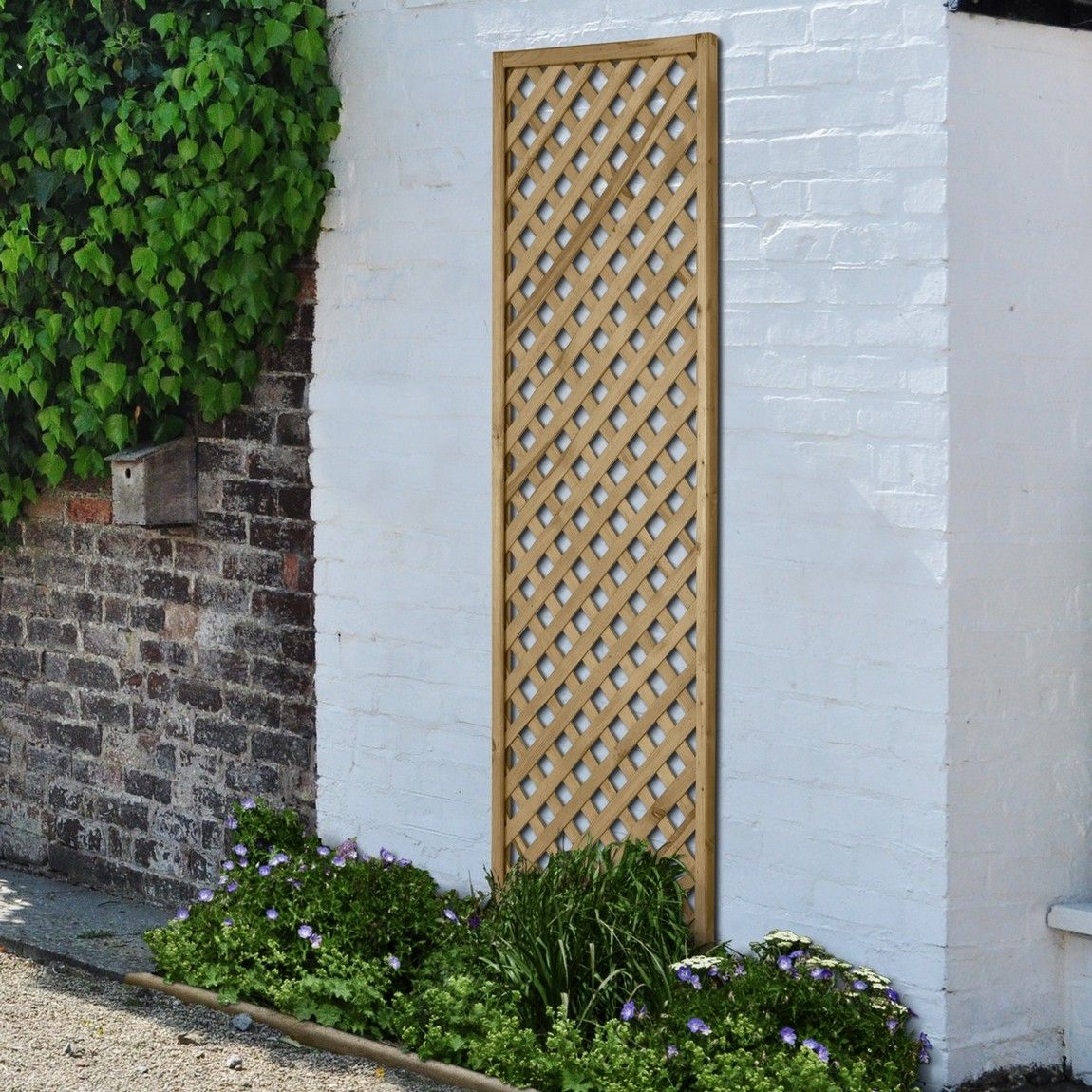 Forest Rosemore Lattice 1.8mtr x 0.6mtr Treated Timber (Pack of 6)