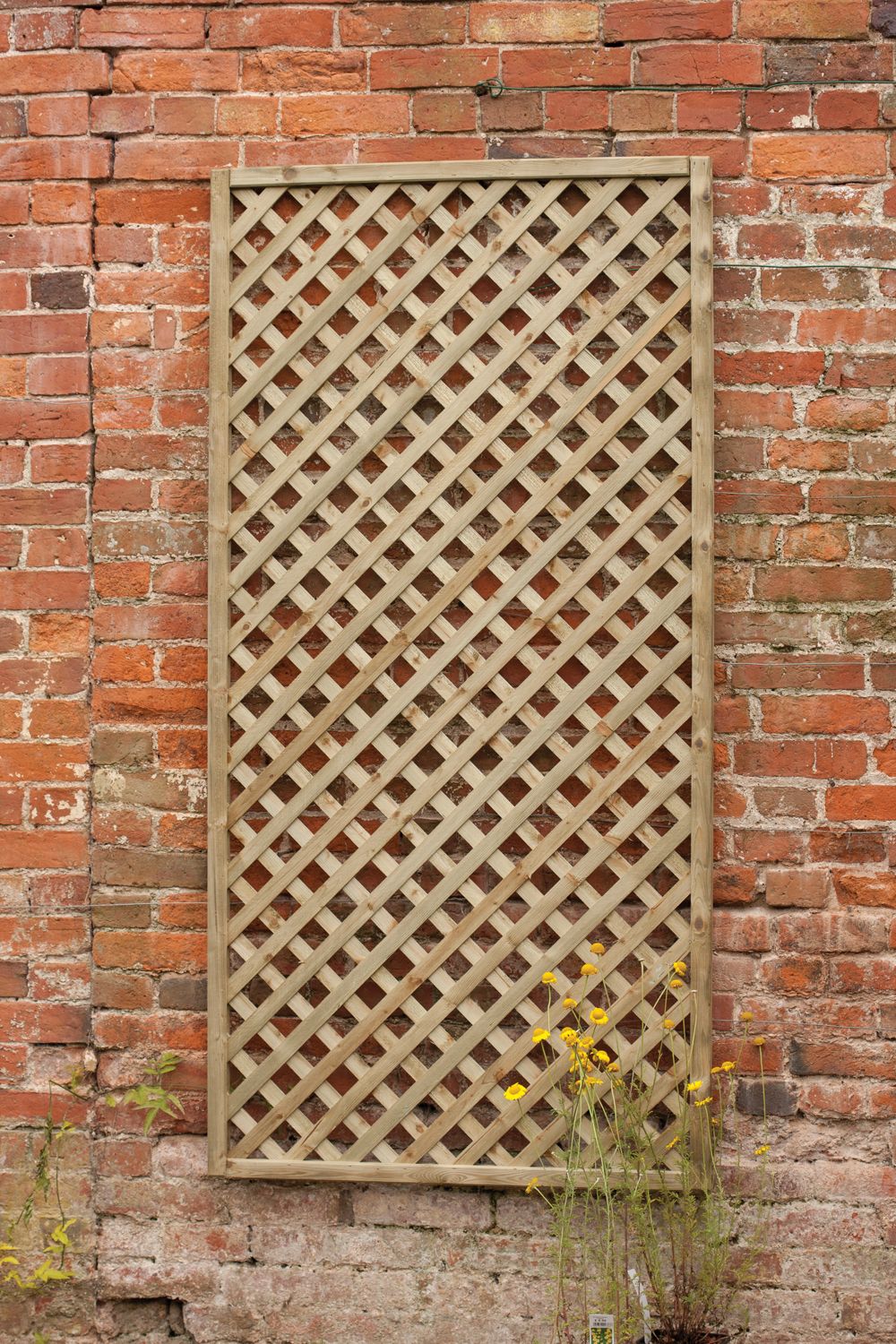 Forest Rosemore Lattice 1.8mtr x 0.9mtr Treated Timber (Pack of 10)