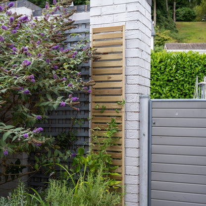 Forest Slatted Trellis 1.8m x 0.3m - Pack of 5