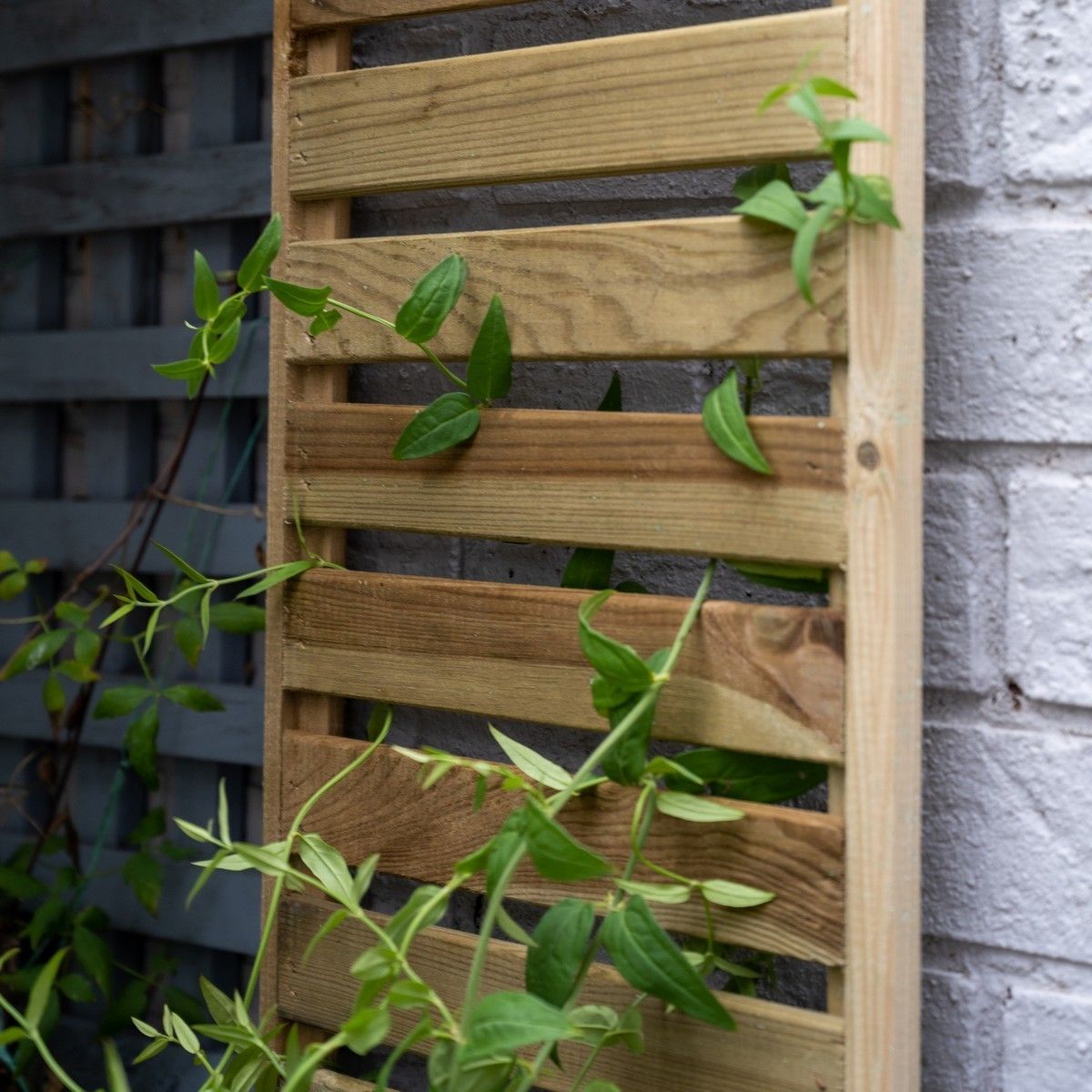 Forest Slatted Trellis 1.8m x 0.3m - Pack of 5
