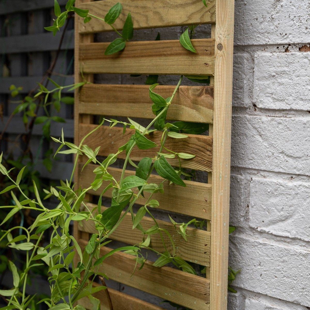 Forest Slatted Trellis 1.8m x 0.3m - Pack of 6