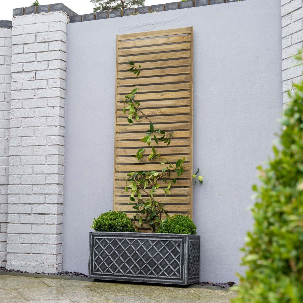 Forest Slatted Trellis 1.8m x 0.6m - Pack of 6