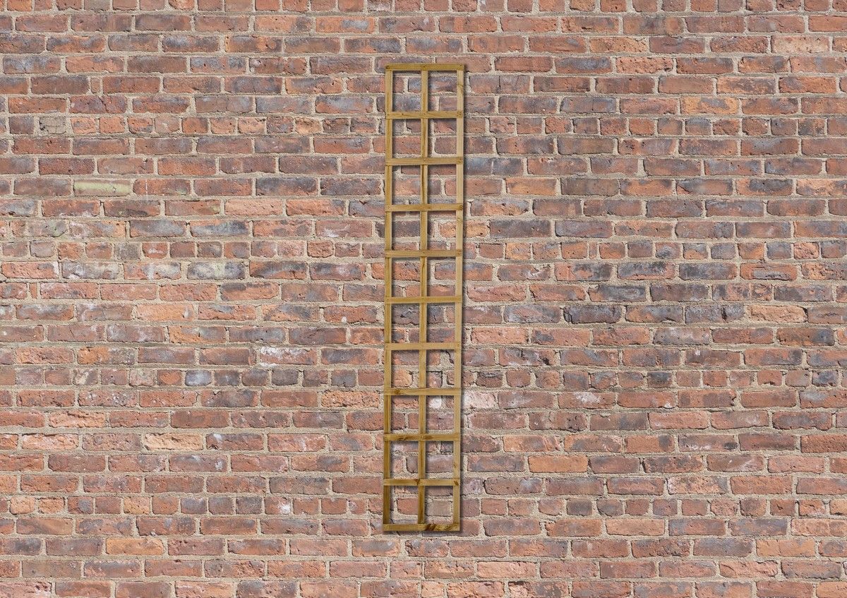 Forest Smooth Planed Trellis 1.8m x 0.3m - Pack of 6