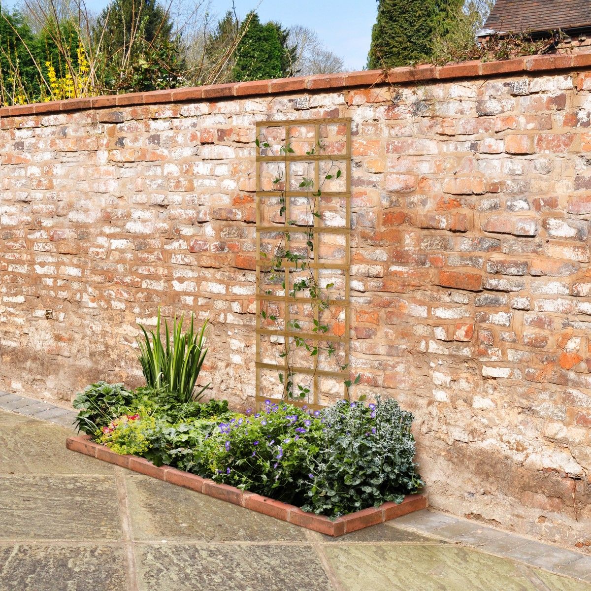 Forest Smooth Planed Trellis 1.8m x 0.6m - Pack of 4