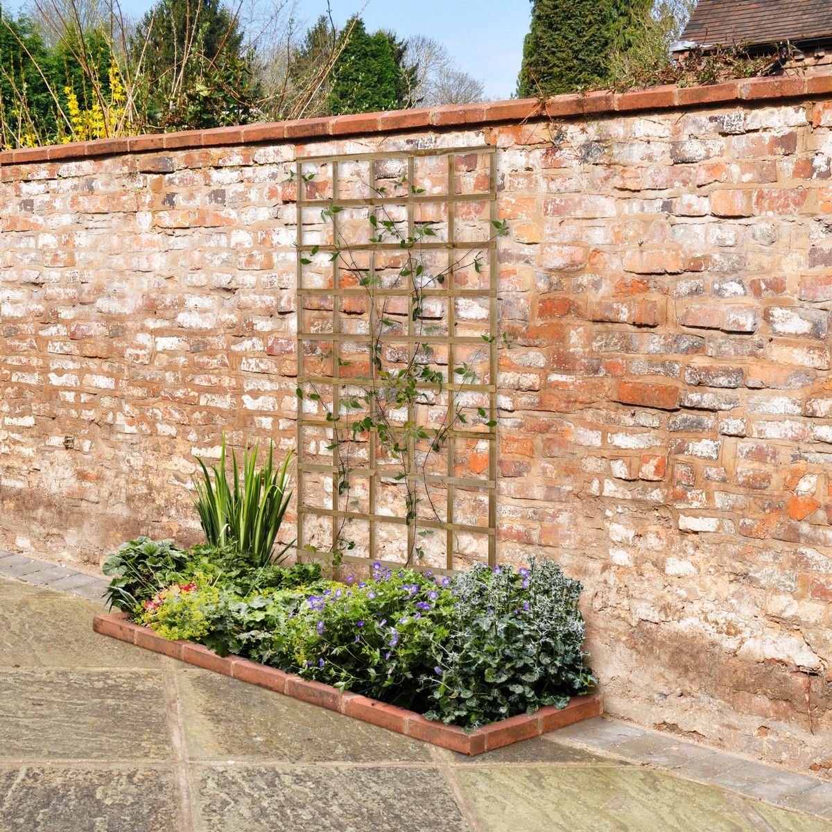 Forest Smooth Planed Trellis 1.8m x 0.9m - Pack of 5