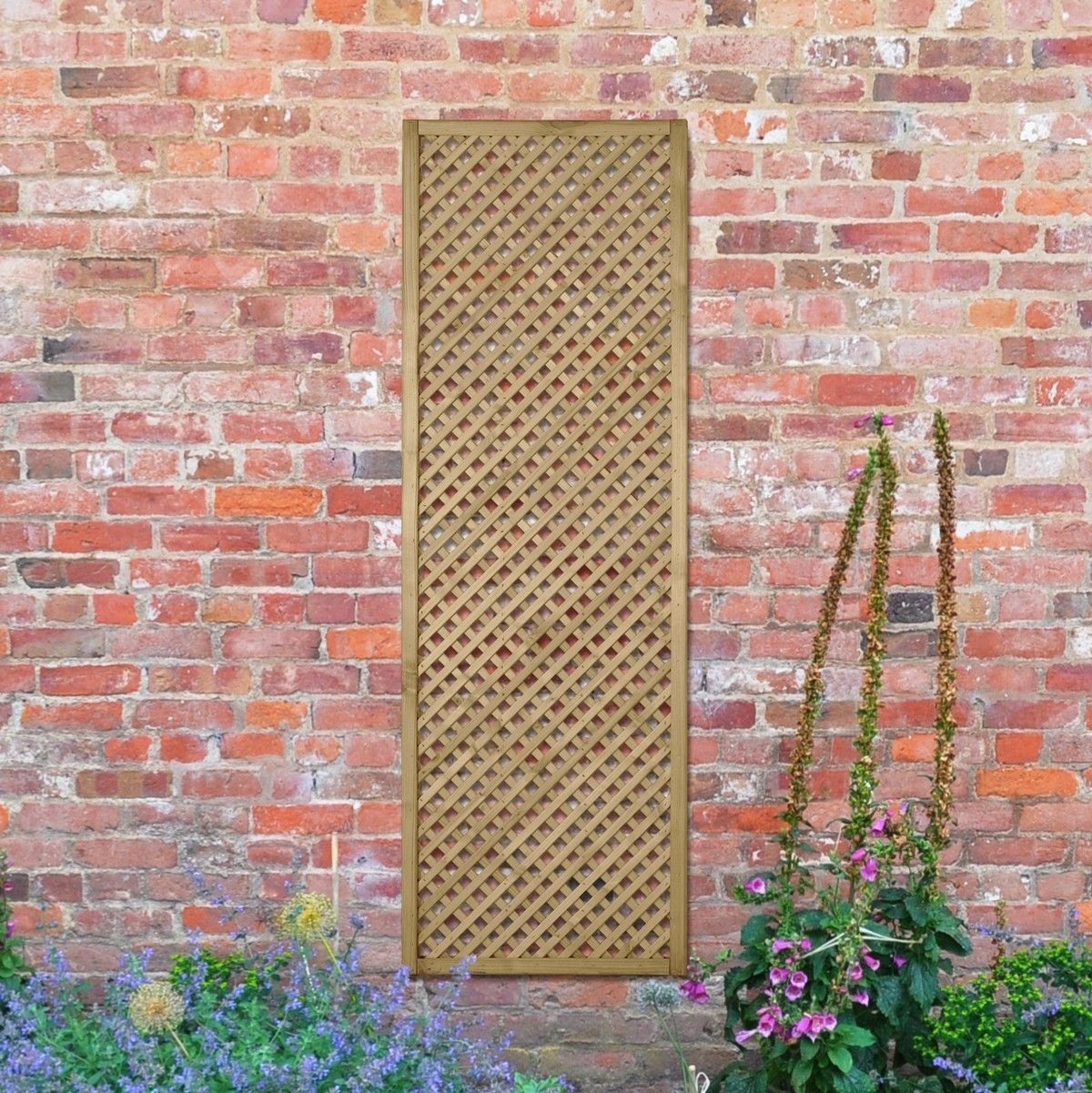 Forest Wisley Lattice 1.8mtr x 0.6m (Pack of 5)