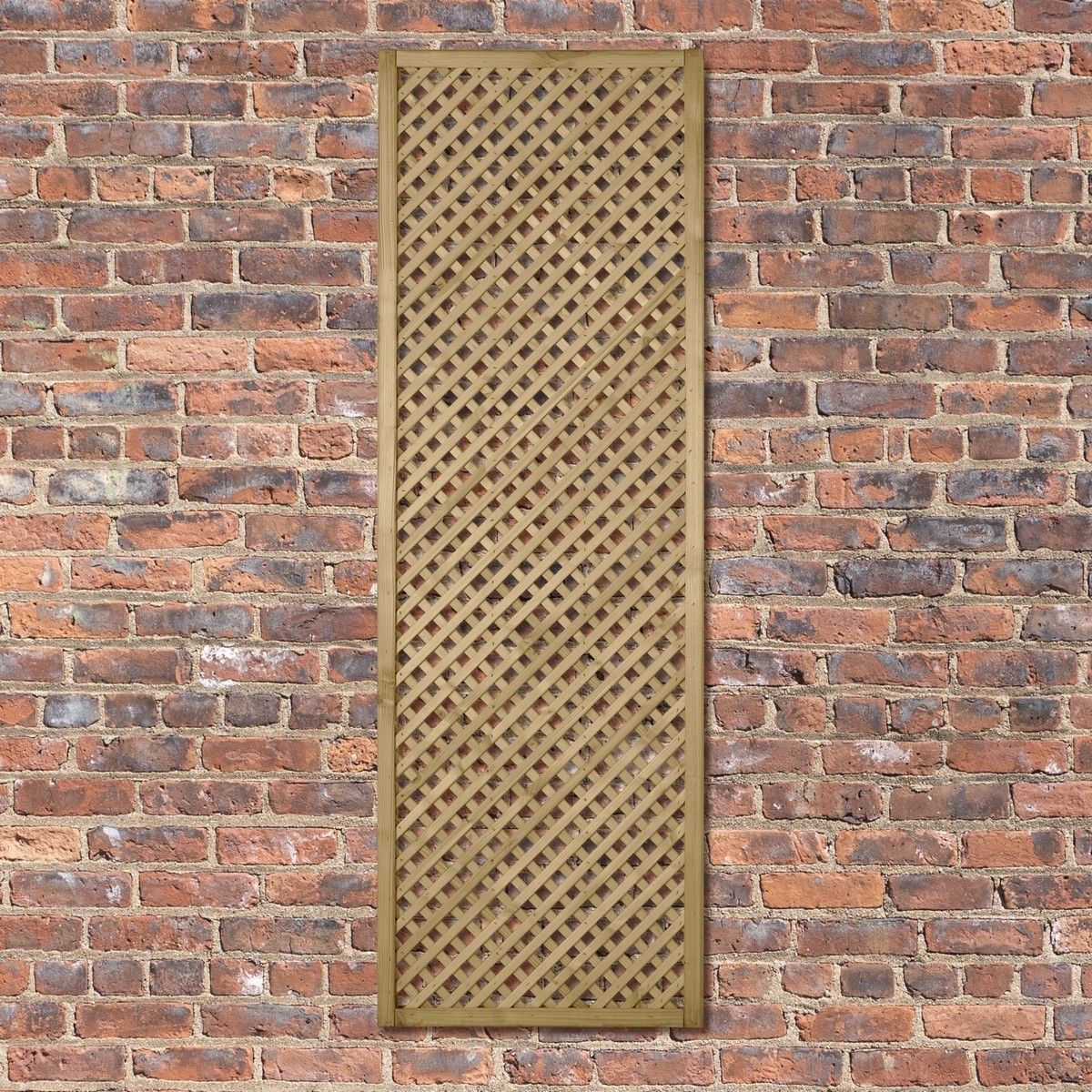 Forest Wisley Lattice 1.8mtr x 0.6m (Pack of 5)