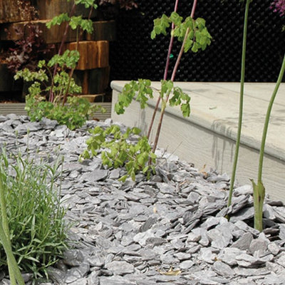 Long Rake Spar 40mm Plum Slate - Prepacked Bag