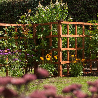 Rowlinson Heavy Duty Trellis 6ft x 1ft - Honey Brown (Pack of 3)