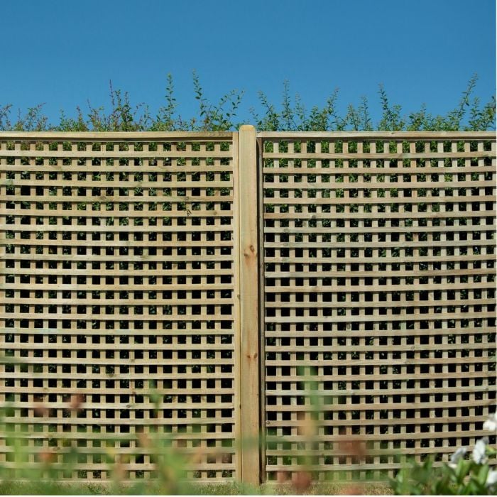 Forest Premium Framed Trellis 1.8m x 1.8m Treated Timber (Pack of 3)
