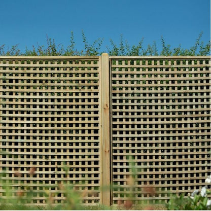 Forest Premium Framed Trellis 1.8m x 1.8m Treated Timber (Pack of 3)