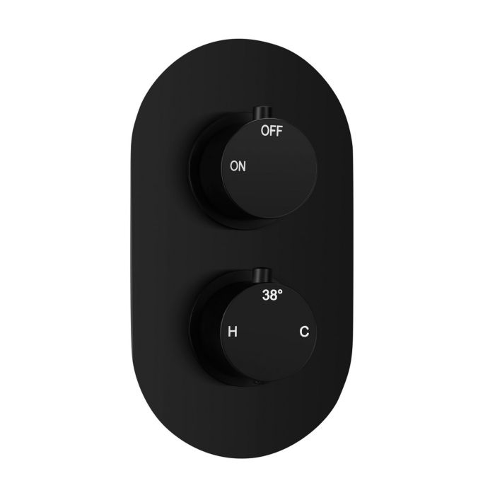 Matt Black Twin Shower Valve - Single Outlet